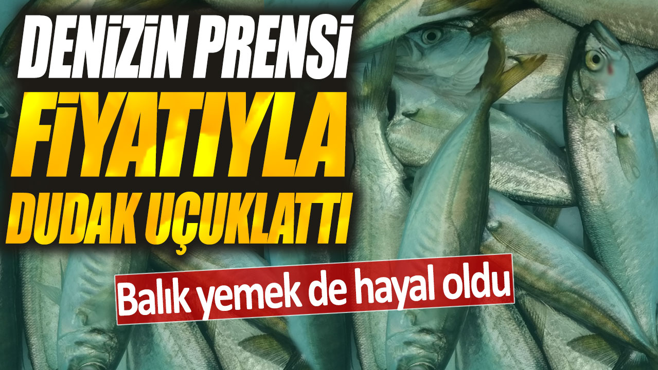 Denizin prensi fiyatıyla dudak uçuklattı: Balık yemek de hayal oldu