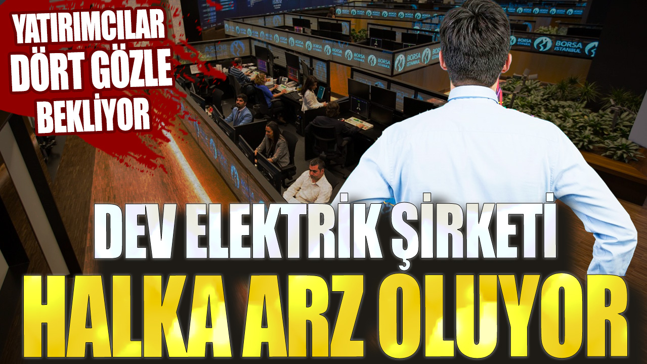 Yatırımcılar dört gözle bekliyor: Dev elektrik şirketi halka arz oluyor