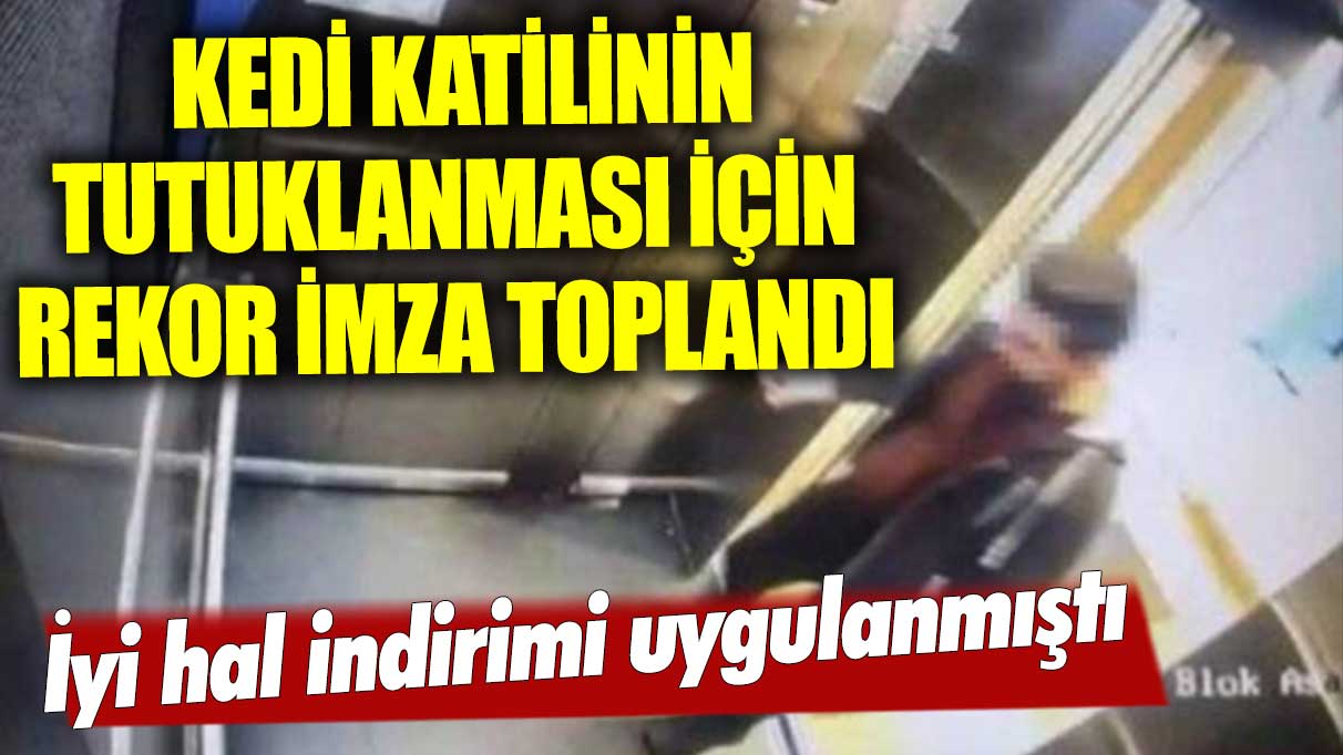 Kedi katilinin tutuklanması için 250 bin imza toplandı! İyi hal indirimi uygulanmıştı