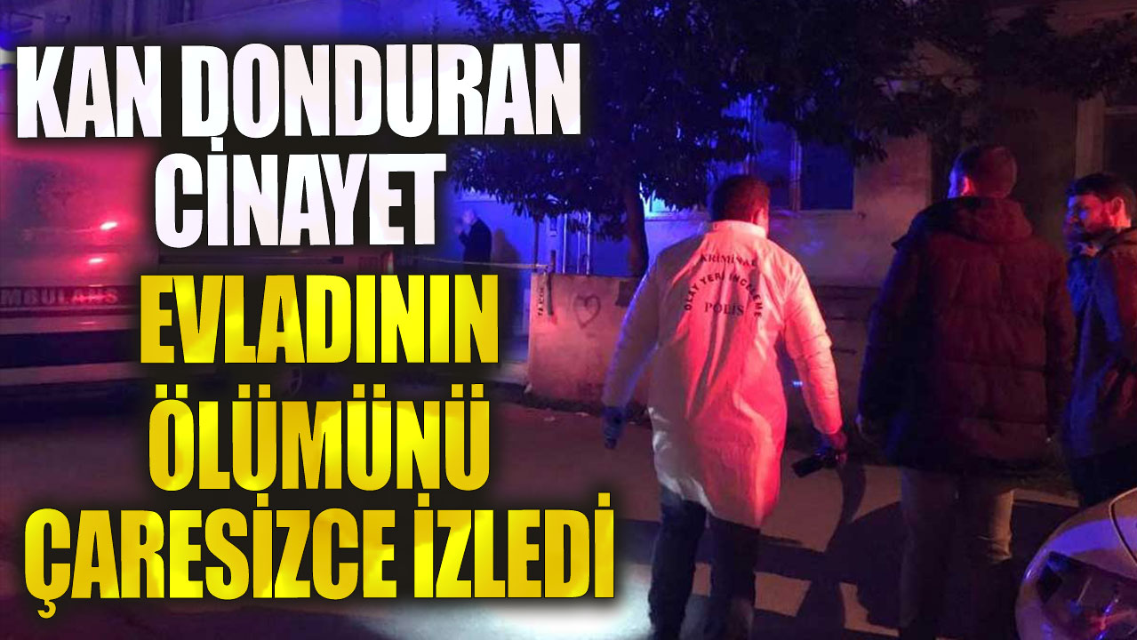 Sakarya'da kan donduran cinayet! Evladının ölümünü çaresizce izledi