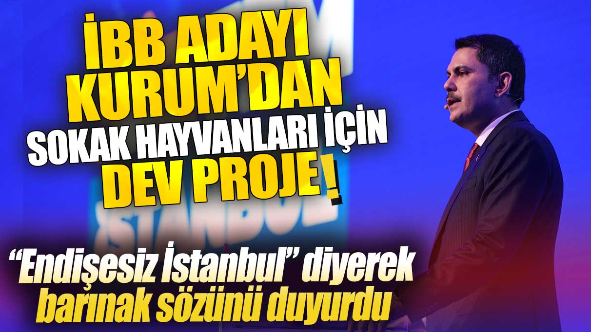 İBB adayı Murat Kurum’dan sokak hayvanları için dev proje! “Endişesiz İstanbul” diyerek barınak sözünü duyurdu