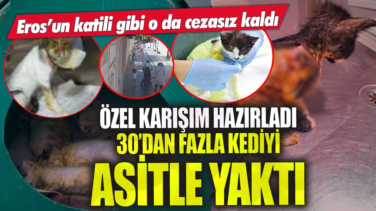 Eros’un katili gibi o da cezasız kaldı! 30’dan fazla kediyi asitle yaktı banyosunda özel karışım hazırladı