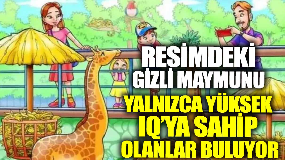 Resimdeki gizli maymunu yalnızca yüksek IQ’ya sahip olanlar buluyor!