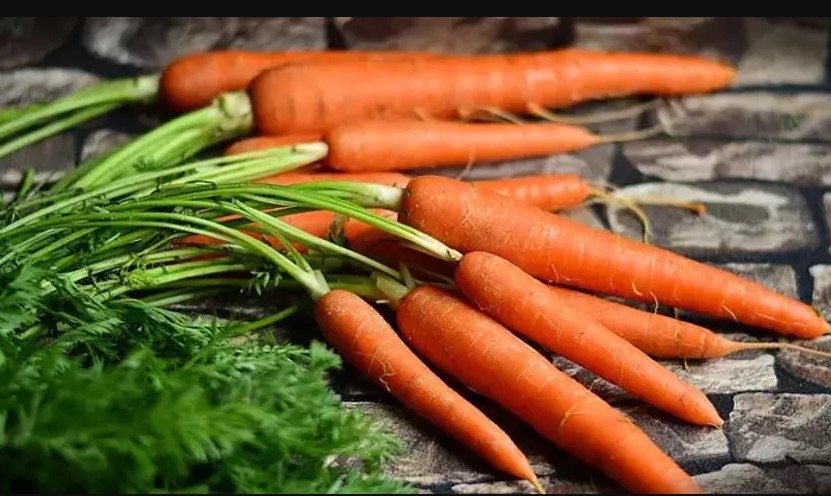 Havucun faydaları nelerdir?