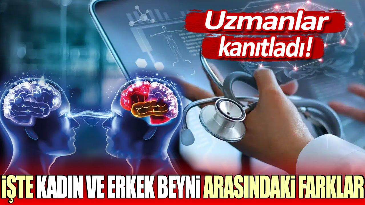 Uzmanlar kanıtladı: İşte kadın ve erkek beyni arasındaki farklar!