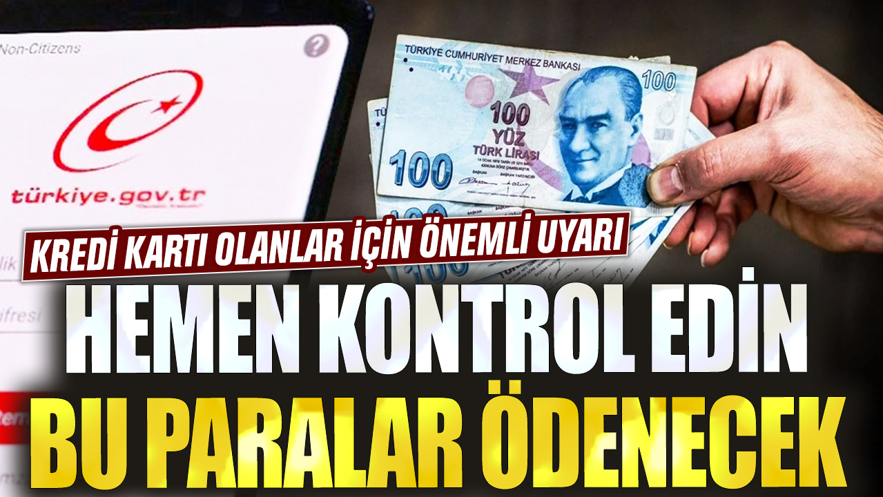 Kredi kartı olanlar için önemli uyarı: Hemen kontrol edin bu paralar geri ödenecek