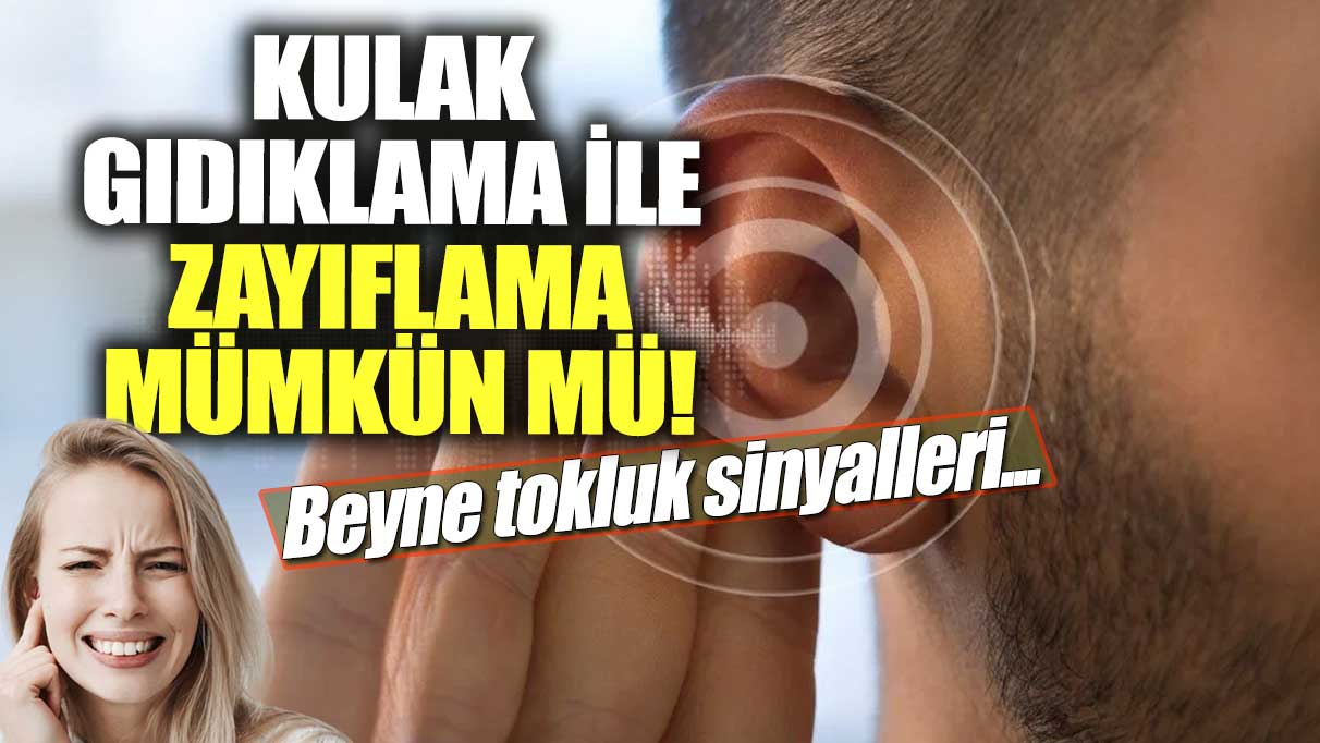 Kulak gıdıklama ile zayıflama mümkün mü! Beyne tokluk sinyalleri...