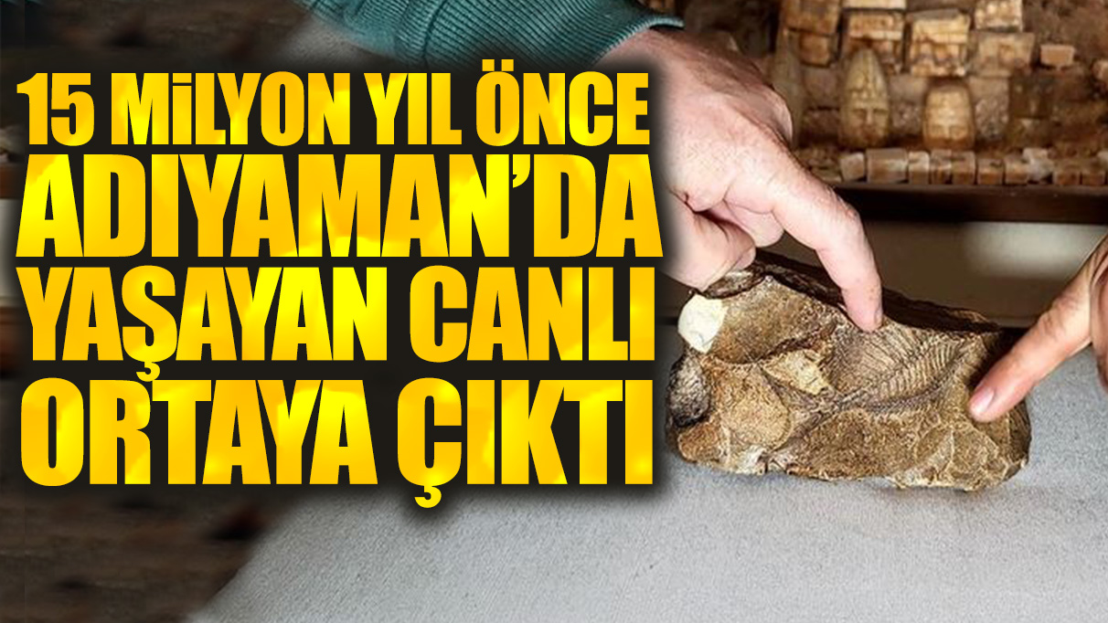 15 milyon yıl önce Adıyaman'da yaşayan canlı ortaya çıktı!