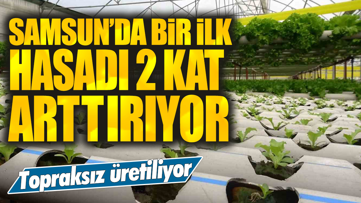 Samsun'da bir ilk: Hasadı 2 kat arttırıyor! Topraksız üretiliyor