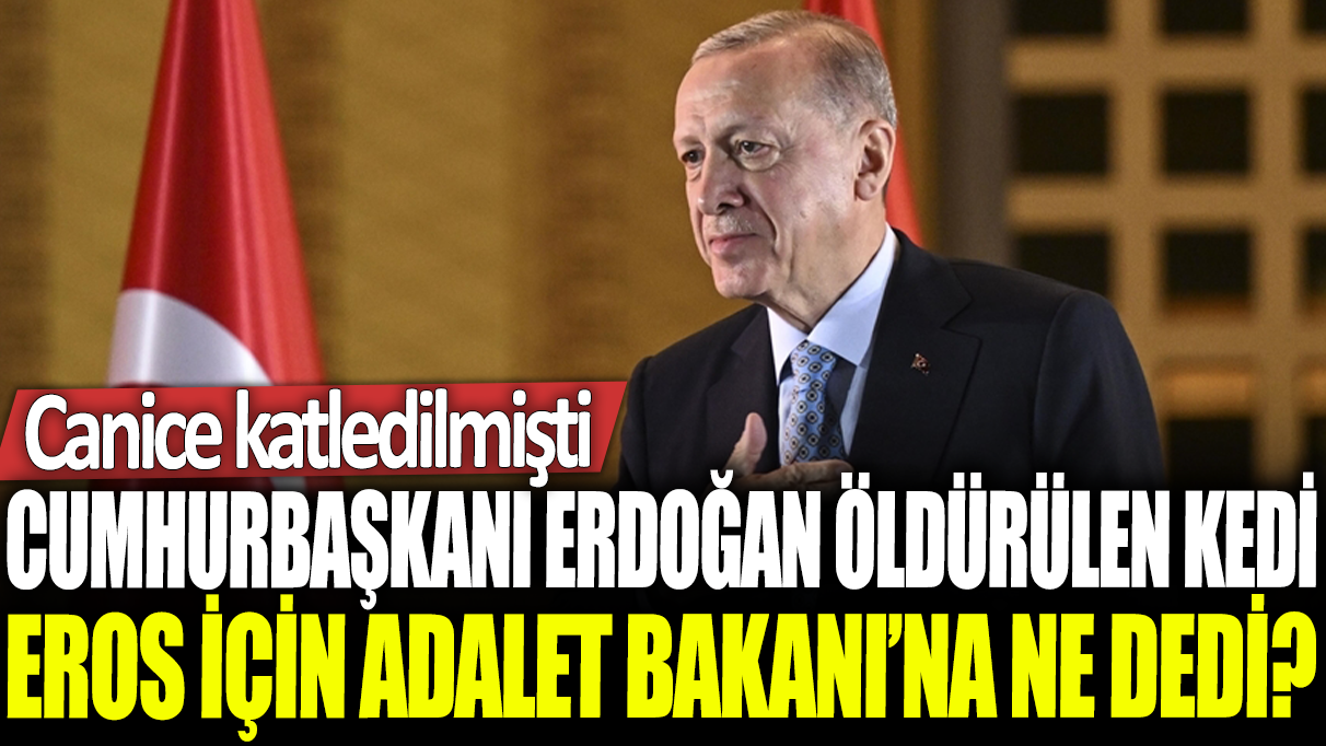 Canice katledilmişti: Cumhurbaşkanı Erdoğan öldürülen kedi Eros için Adalet Bakanı'na ne dedi?