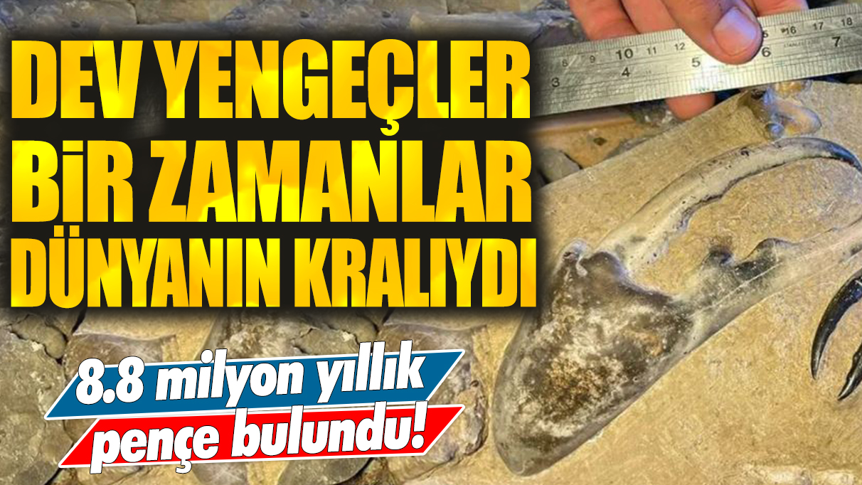 Yengeçler bir zamanlar dünyanın kralıydı: 8.8 milyon yıllık dev pençe bulundu!