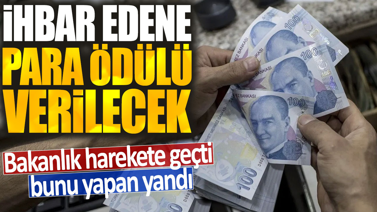 Bakanlık harekete geçti bunu yapan yandı! İhbar edene para ödülü verilecek