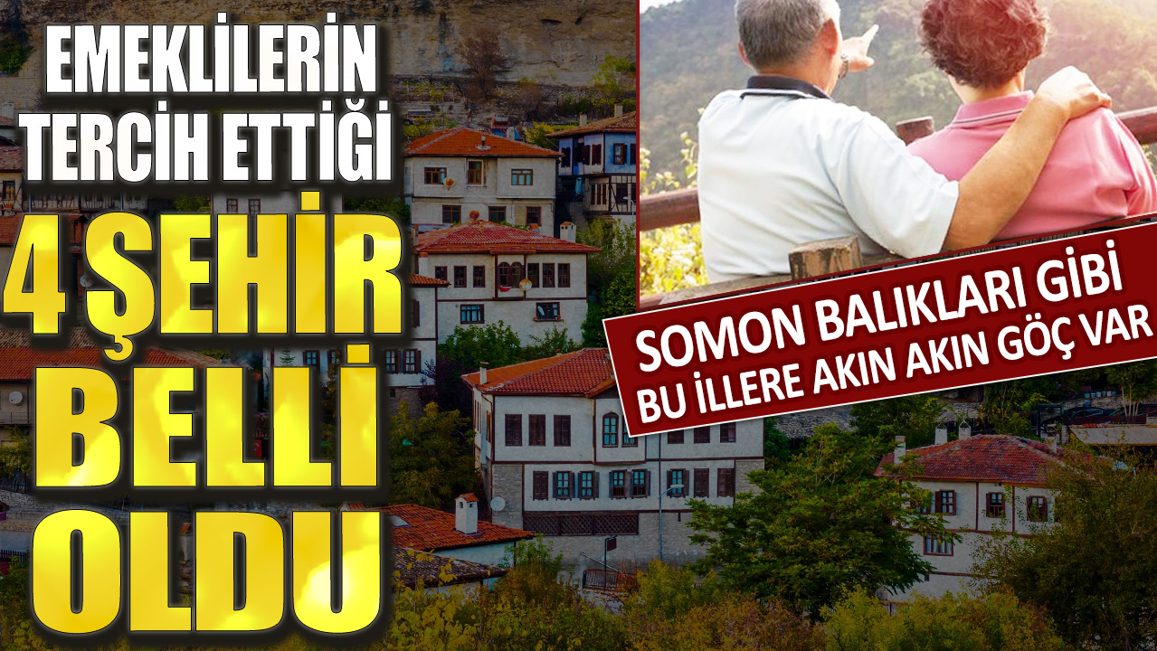 Emeklilerin tercih ettiği 4 şehir belli oldu! Somon balıkları ginbi bu illere akın akın göç var