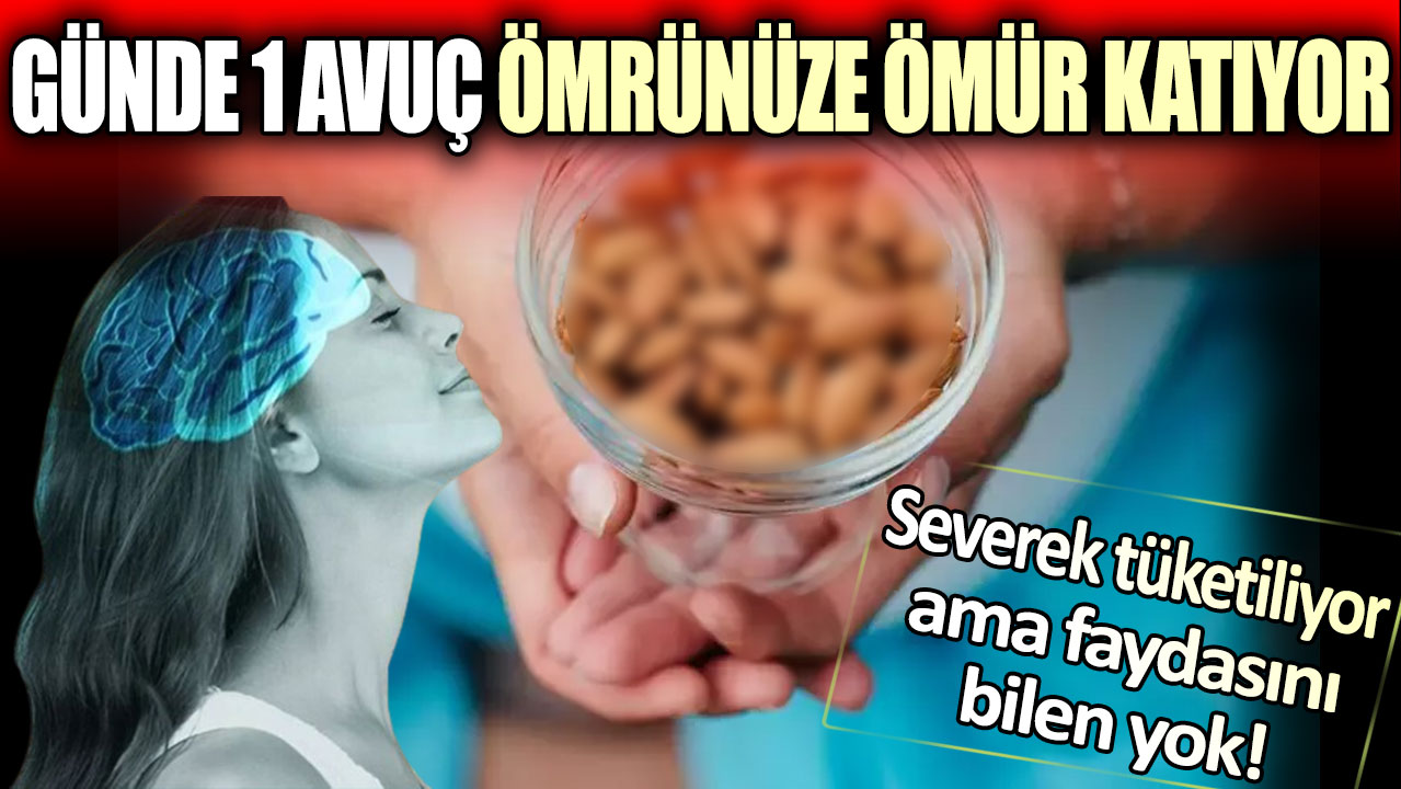 Severek tüketiliyor ama faydasını bilen yok: Günde 1 avuç ömrünüze ömür katıyor!