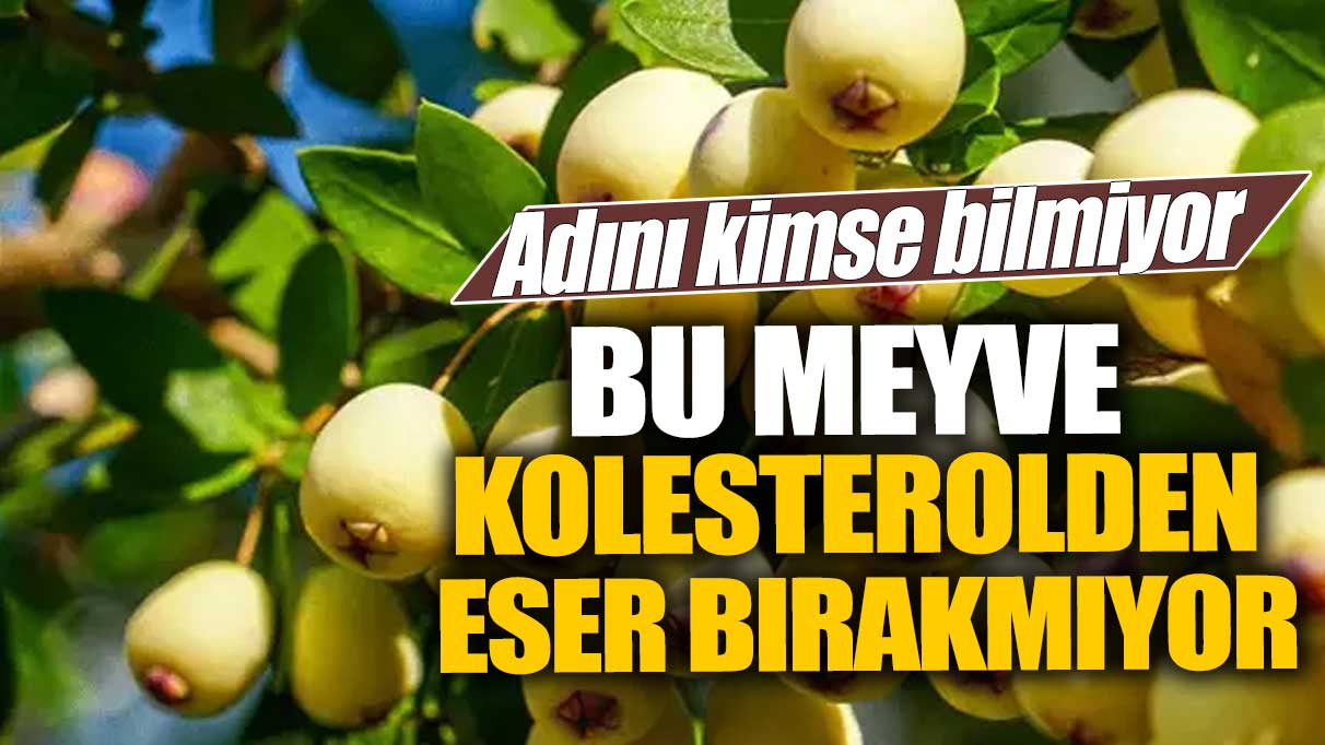 Bu meyve kolesterolden eser bırakmıyor! Adını kimse bilmiyor