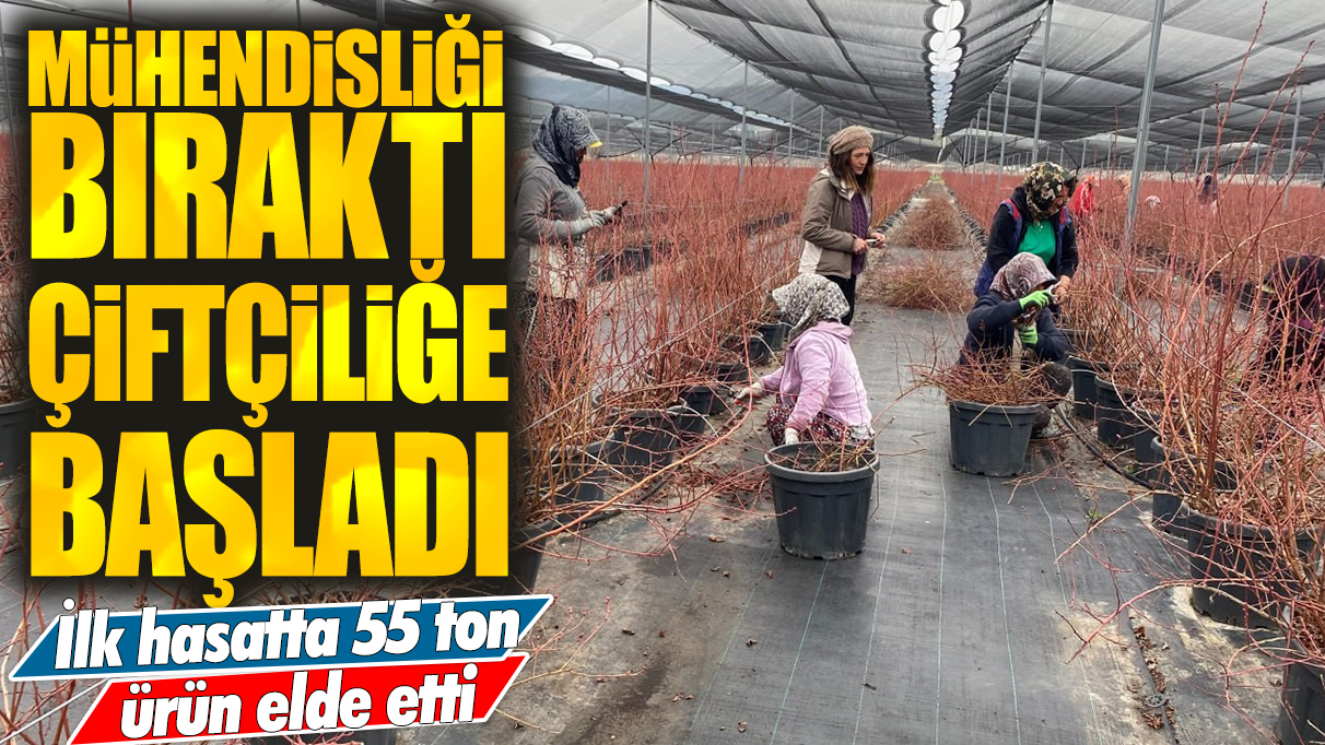 Mühendisliği bıraktı çiftçiliğe başladı: İlk hasatta 55 ton ürün elde etti!