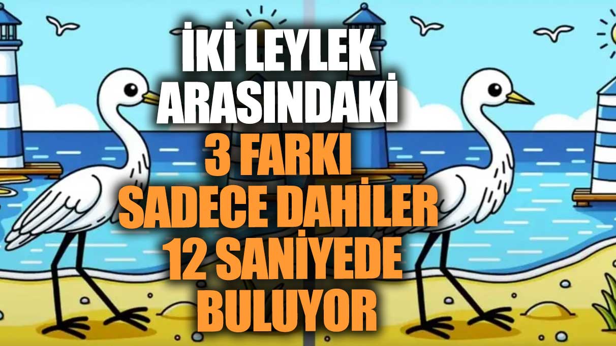 İki leylek arasındaki 3 farkı sadece dahiler 12 saniyede buluyor