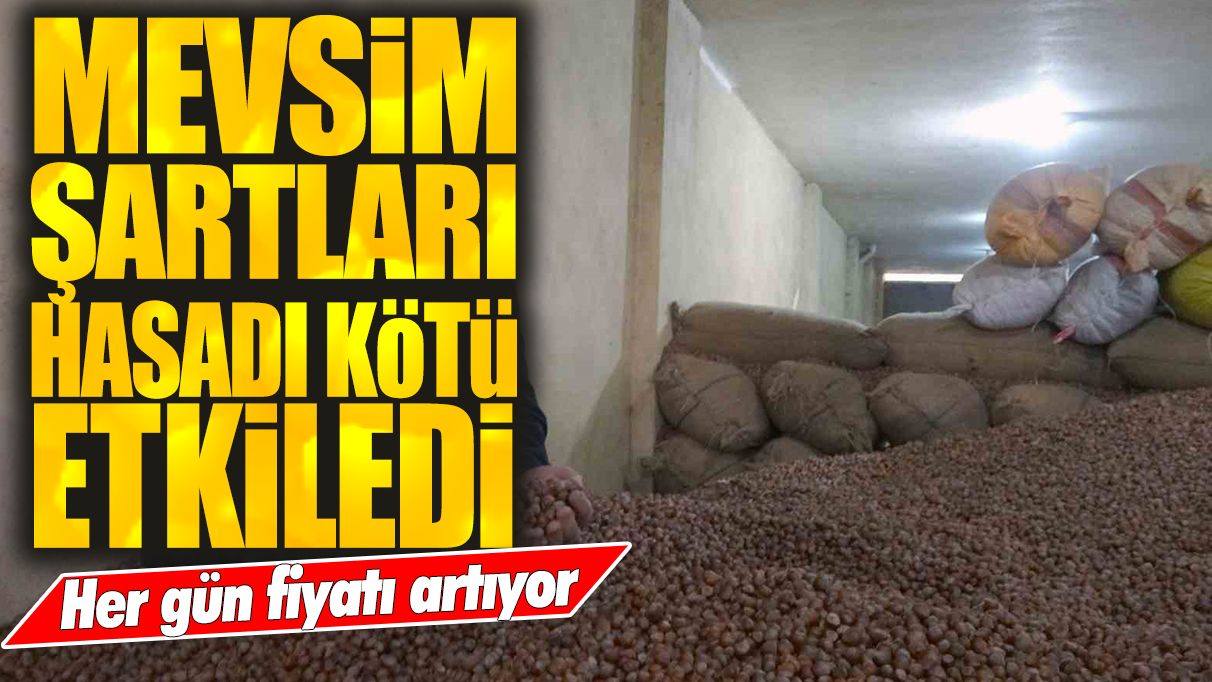 Mevsim şartları hasadı kötü etkiledi: Her gün fiyatı artıyor