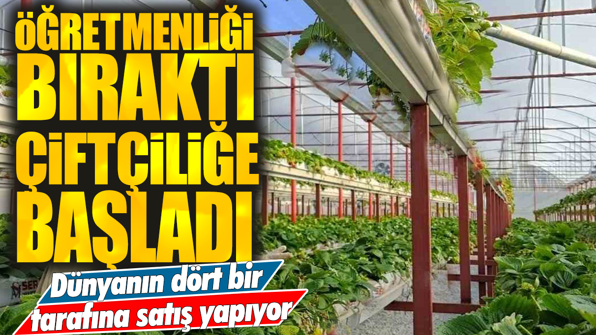 Öğretmenliği bıraktı çiftçiliğe başladı: Dünyanın dört bir tarafına satış yapıyor