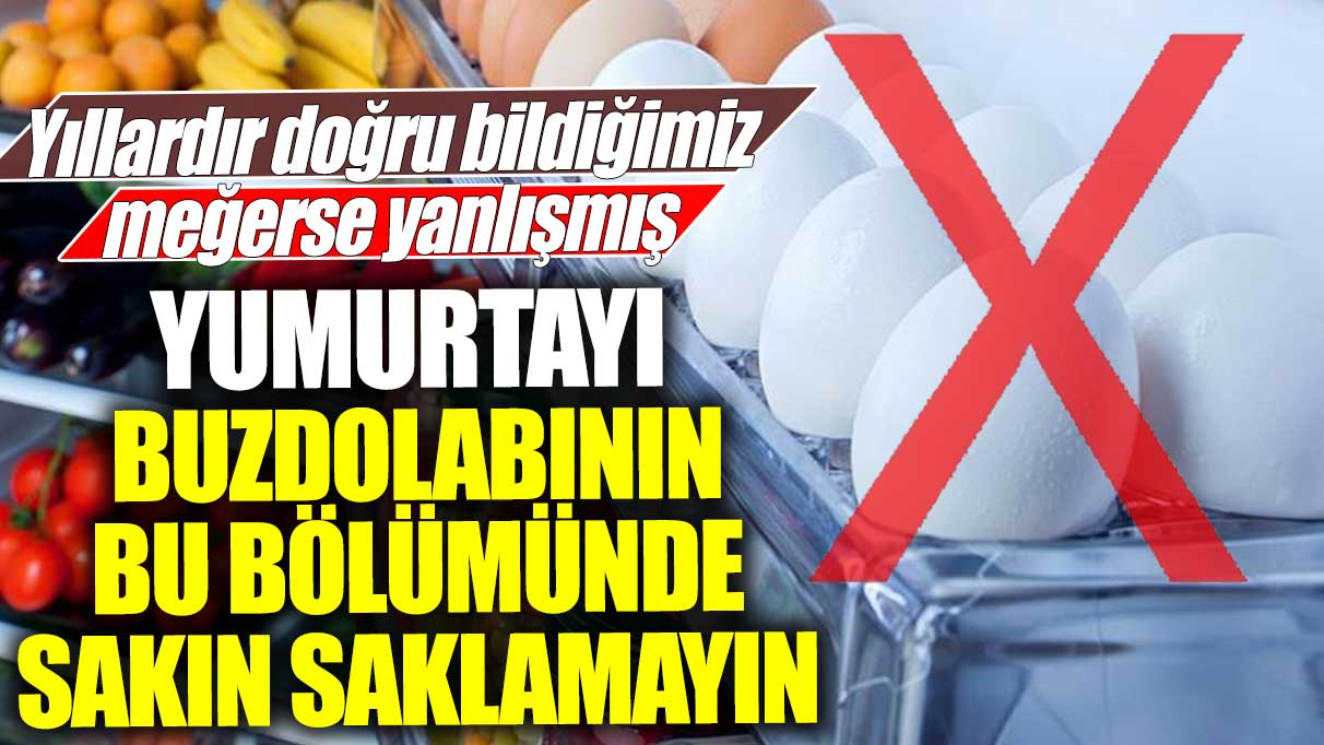 Yıllardır doğru bildiğimiz meğerse yanlışmış!  Yumurtayı buzdolabının bu bölümünde sakın saklamayın