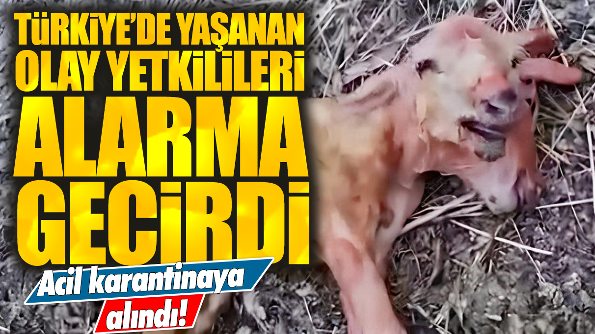 Türkiye'de yaşanan olay yetkilileri alarma geçirdi: Doğumun ardından acil karantinaya alındı!