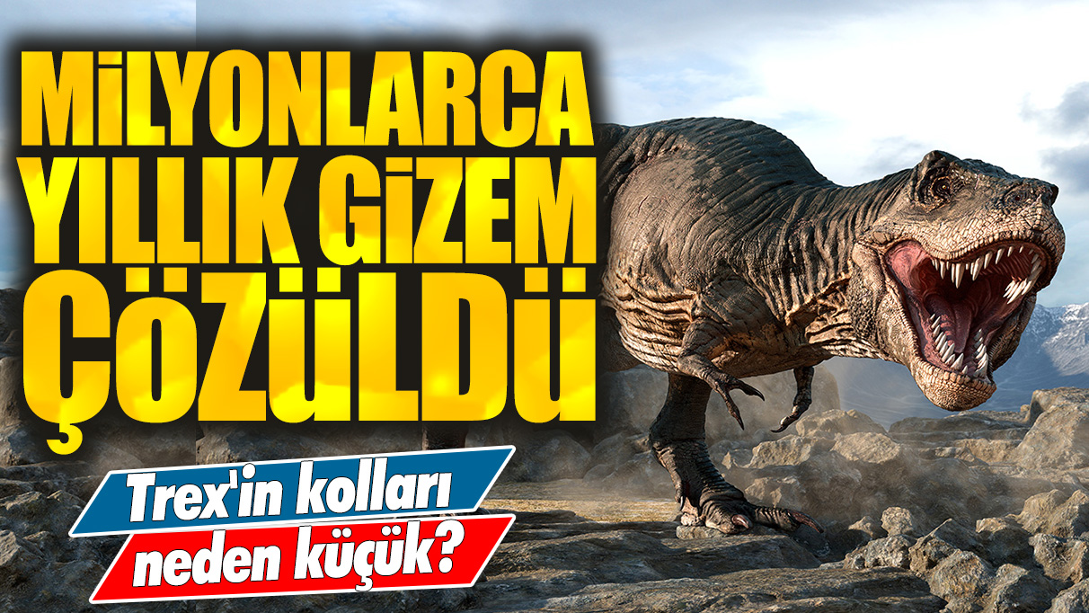 Milyonlarca yıllık gizem çözüldü: Trex'in kolları neden küçük?