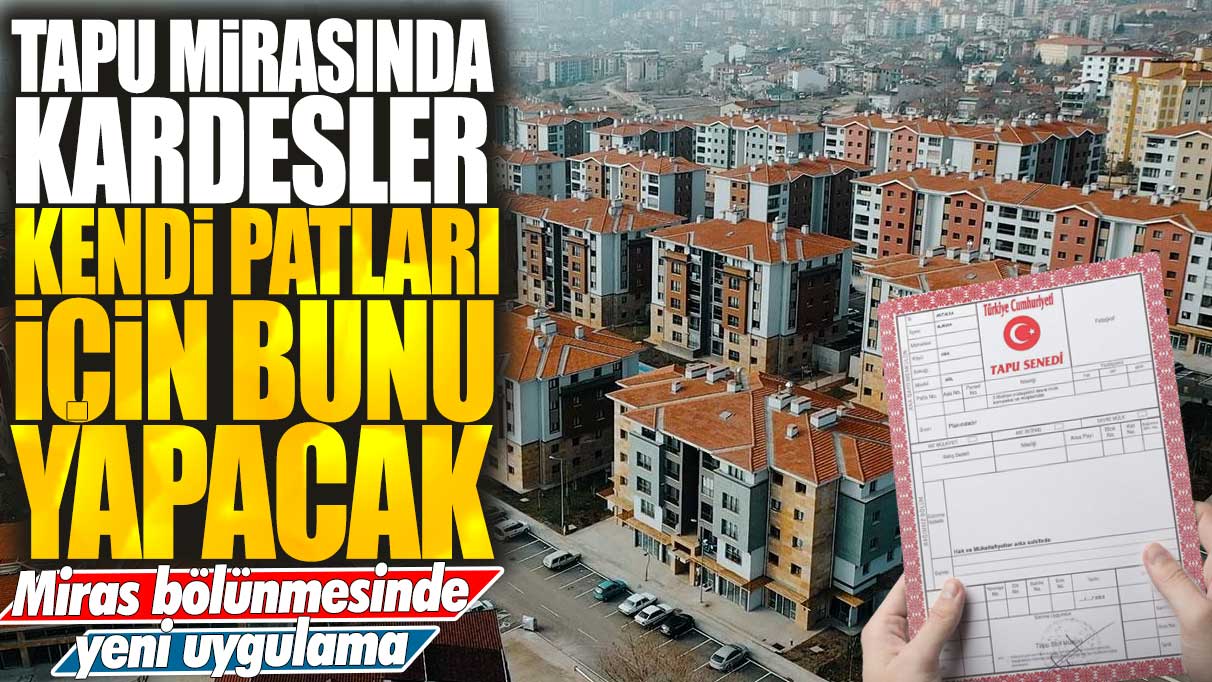 Tapu mirasında kardeşler kendi patları için bunu yapacak: Miras bölünmesinde yeni uygulama