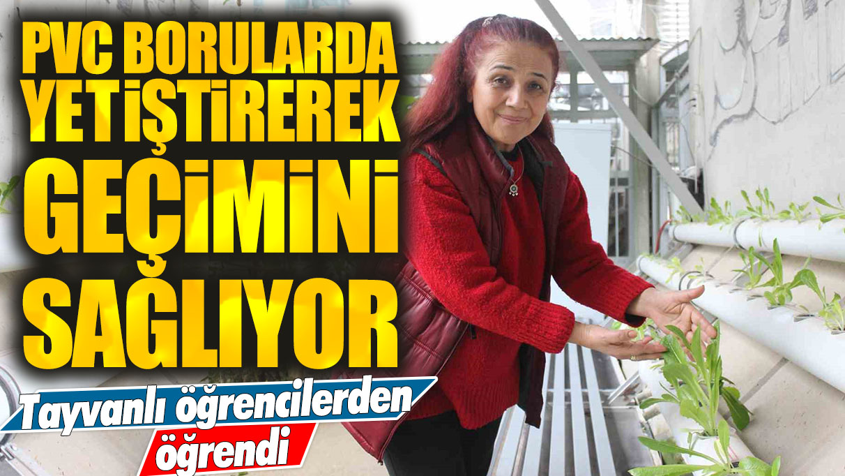 Tayvanlı öğrencilerden öğrendi: PVC borularda yetiştirerek geçimini sağlıyor