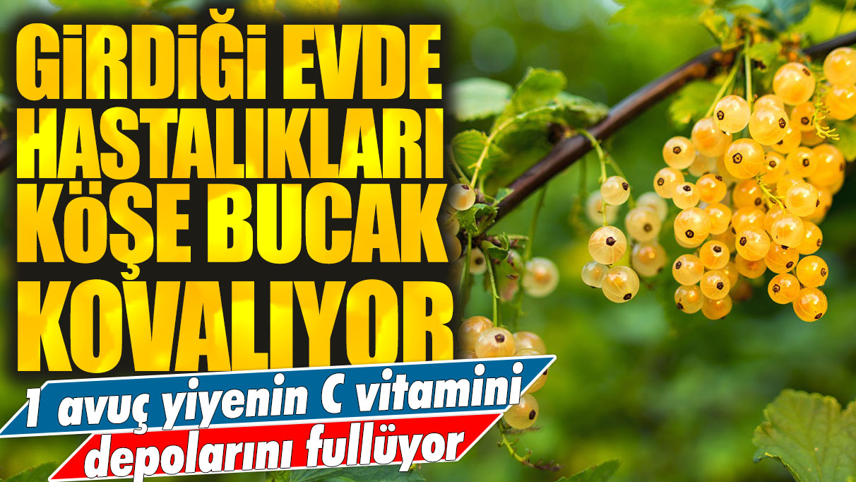 Girdiği evde hastalıkları köşe bucak kovalıyor! 1 avuç yiyenin C vitamini deposunu fullüyor