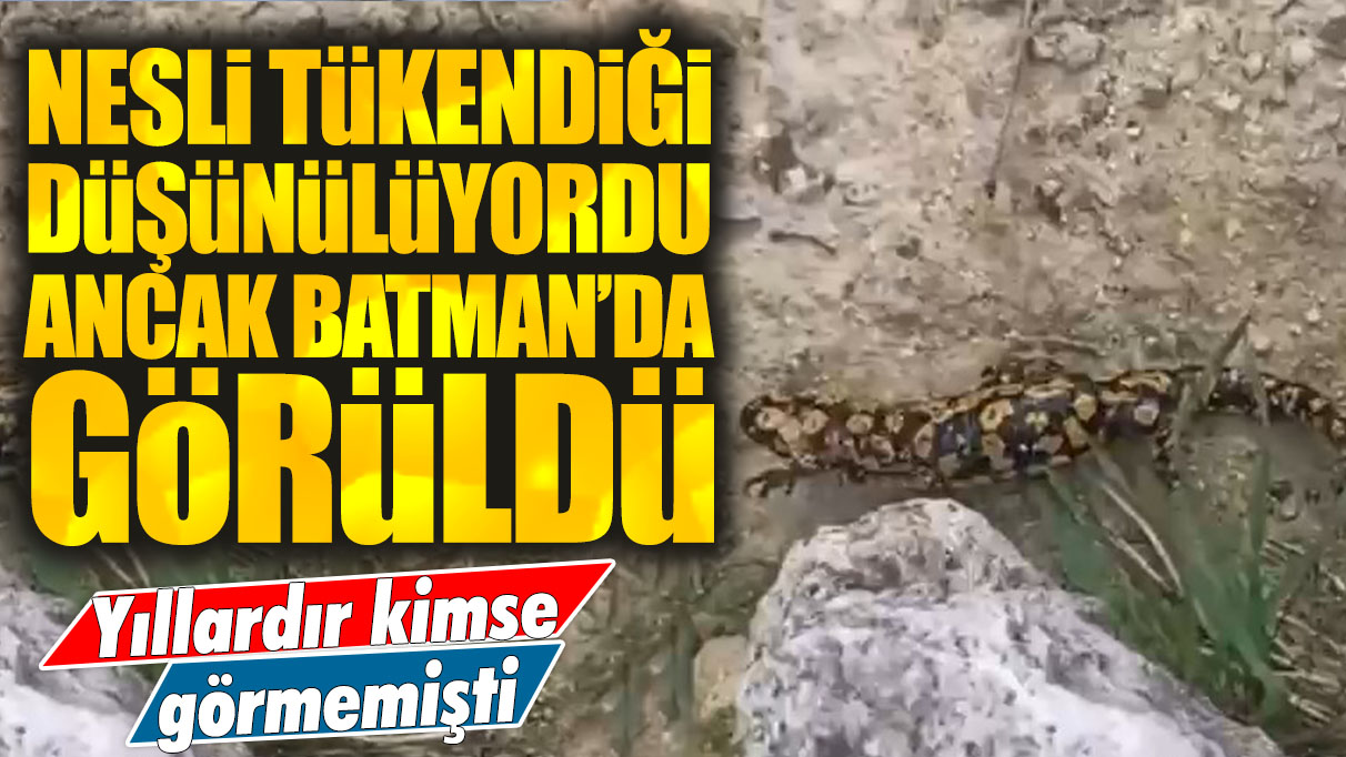 Yıllardır kimse görmemişti: Neslinin tükendiği düşünülüyordu ancak Batman'da görüldü!