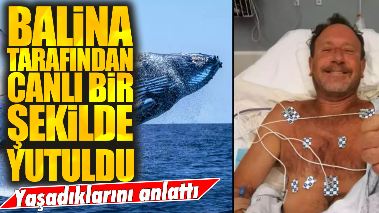 Balina tarafından canlı bir şekilde yutuldu: Yaşadıklarını anlattı!