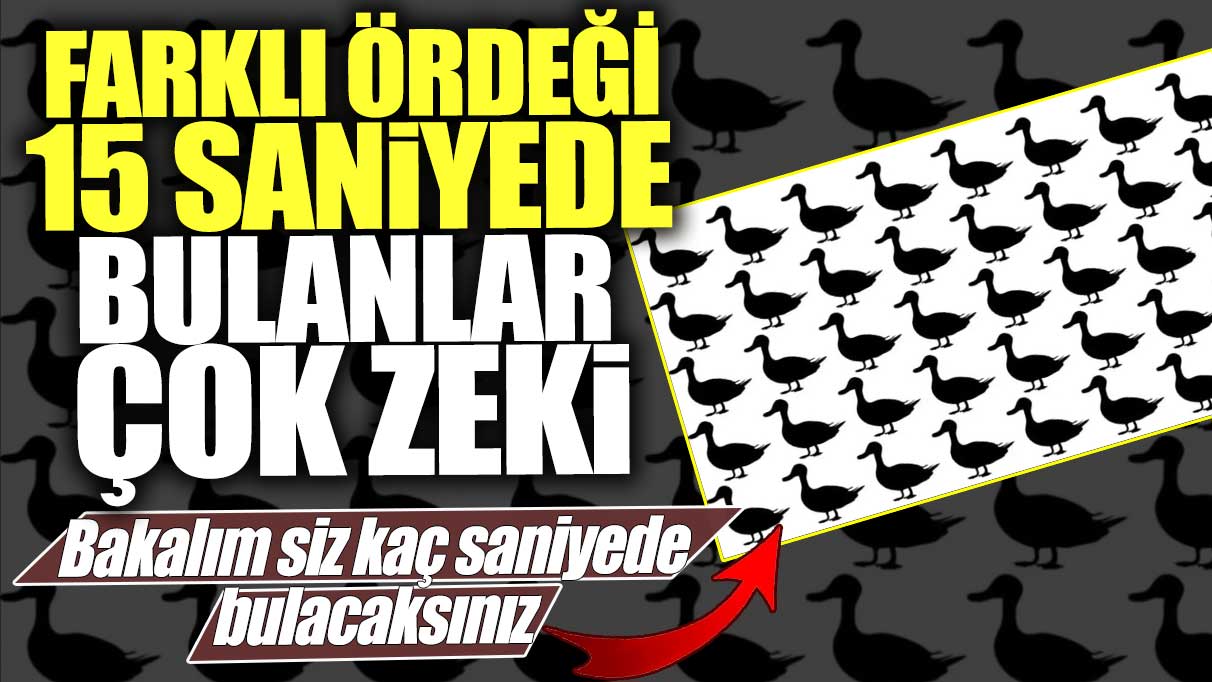 Farklı ördeği 15 saniyede bulanlar çok zeki!  Bakalım siz kaç saniyede bulacaksınız