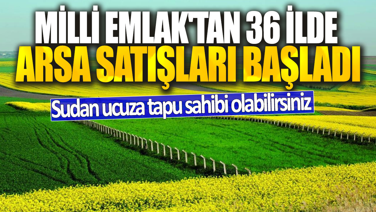 Milli Emlak'tan 36 ilde arsa satışları başladı! Sudan ucuza tapu sahibi olabilirsiniz