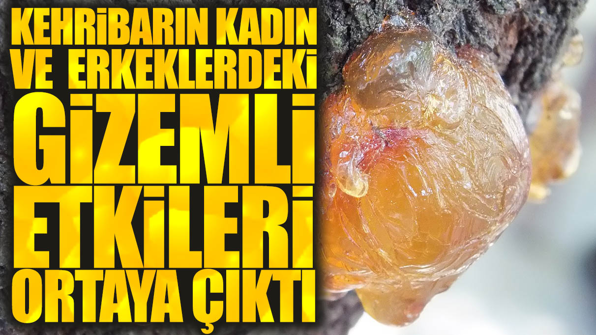 Minerallerin antik güçleri: İşte Kehribarın kadın ve erkeklerdeki gizemli etkileri!