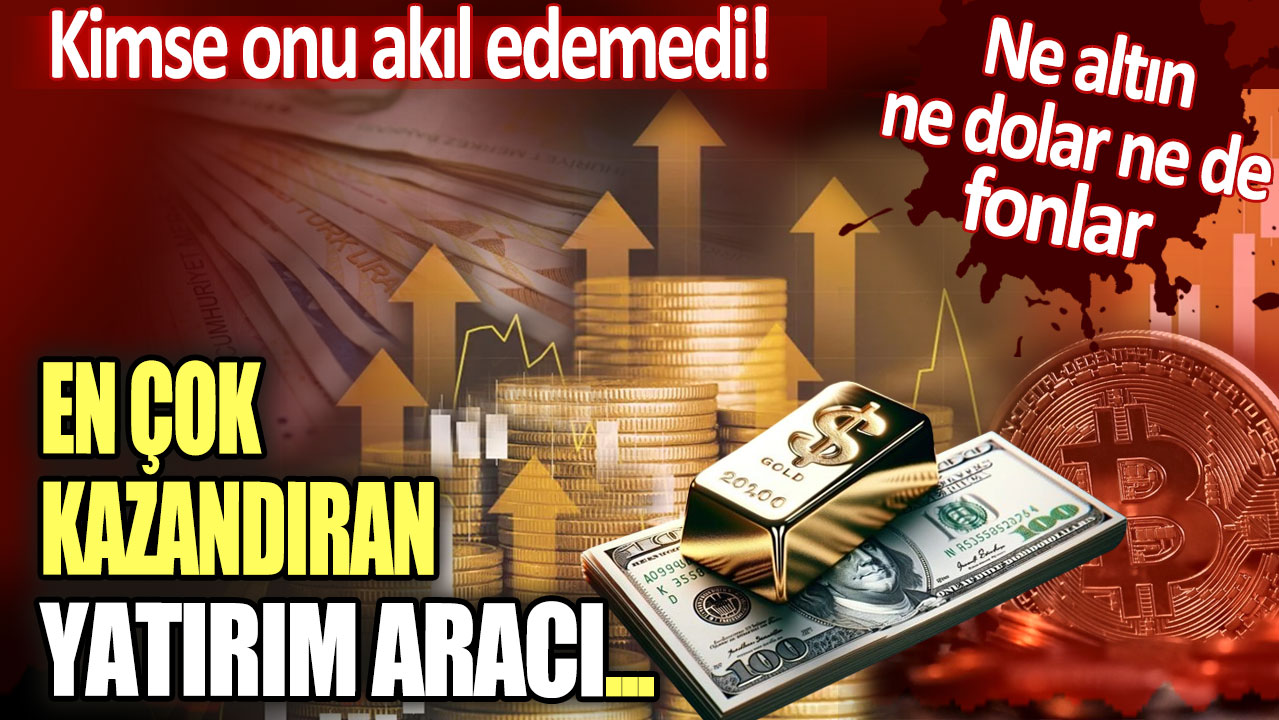 En çok kazandıran yatırım aracı açıklandı: Ne altın ne dolar ne de fonlar... Kimse onu akıl edememişti!