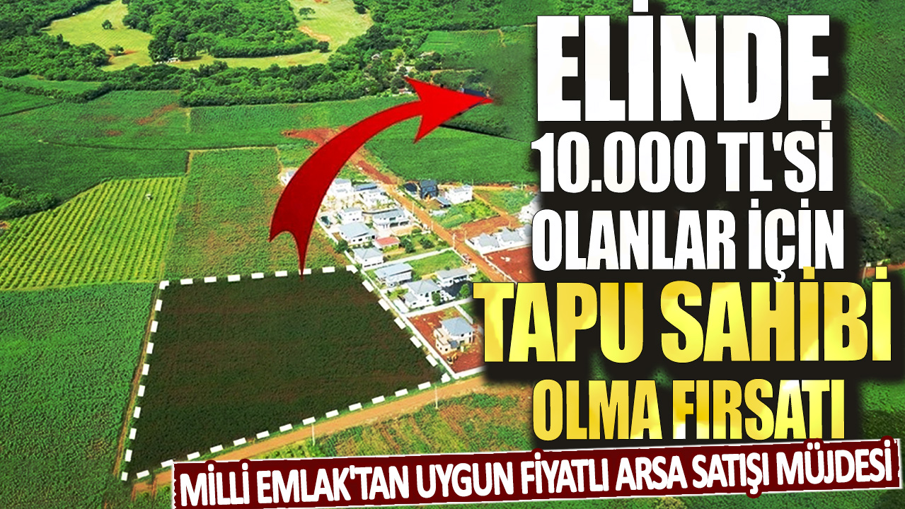 Elinde 10.000 TL'si olanlar için tapu sahibi olma fırsatı! Milli Emlak'tan uygun fiyatlı arsa satışı müjdesi