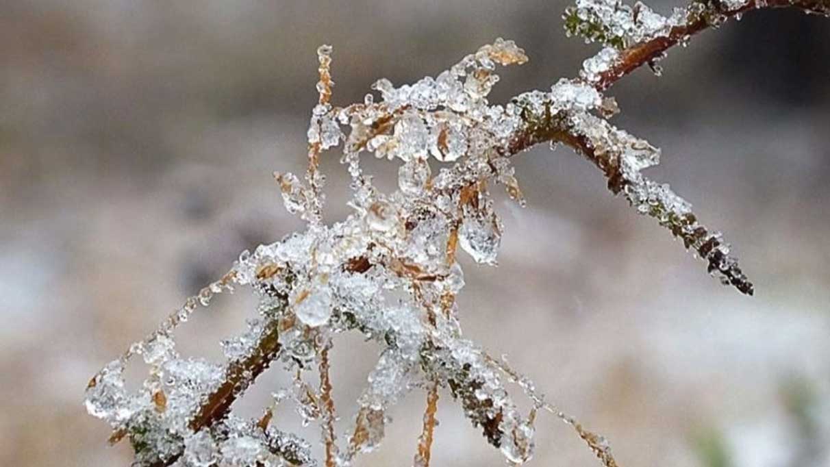 Bu ile Meteoroloji'den 'don' uyarısı