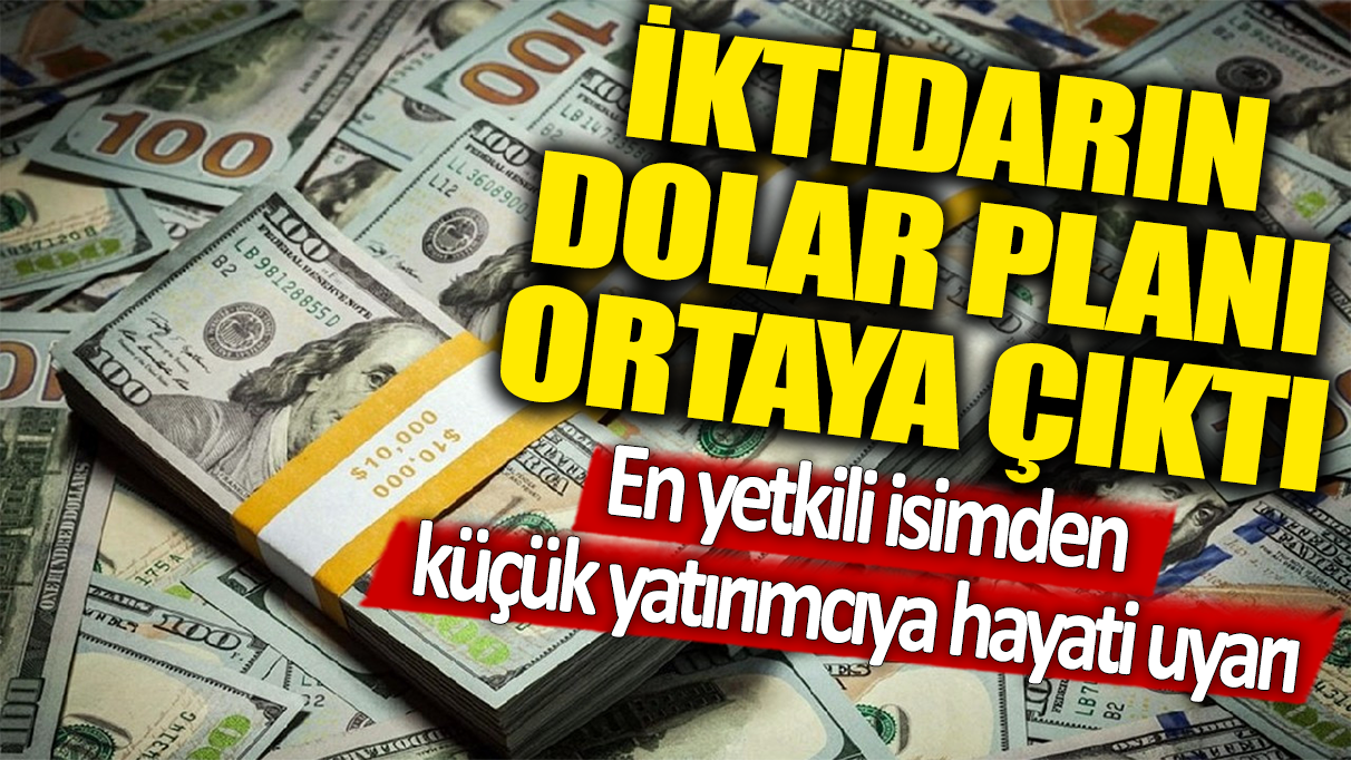 İktidarın dolar planı ortaya çıktı: En yetkili isimden küçük yatırımcıya hayati uyarı