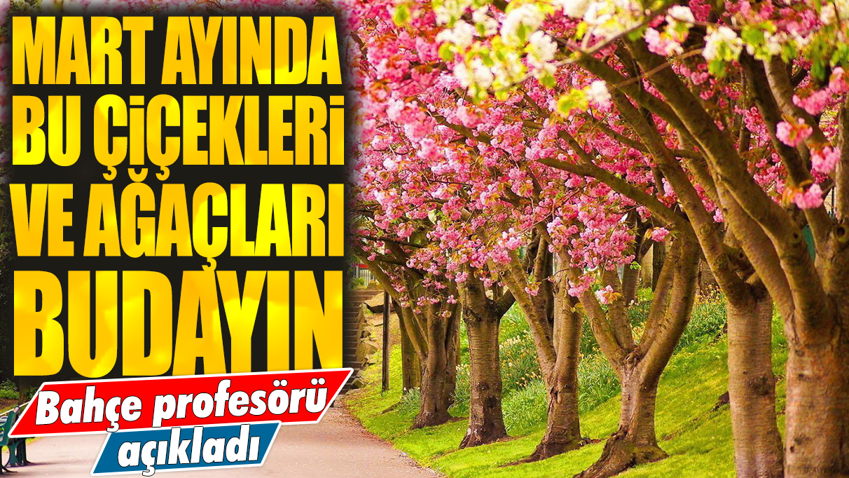 Bahçe profesörü açıkladı: Mart ayında bu çiçek ve ağaçları budayın