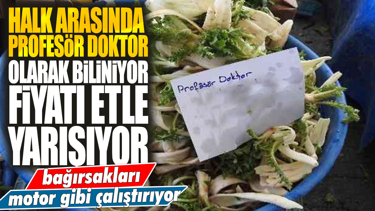 Halk arasında 'Profesör Doktor' olarak biliniyor: Fiyatı etle yarışıyor... Bağırsakları motor gibi çalıştırıyor