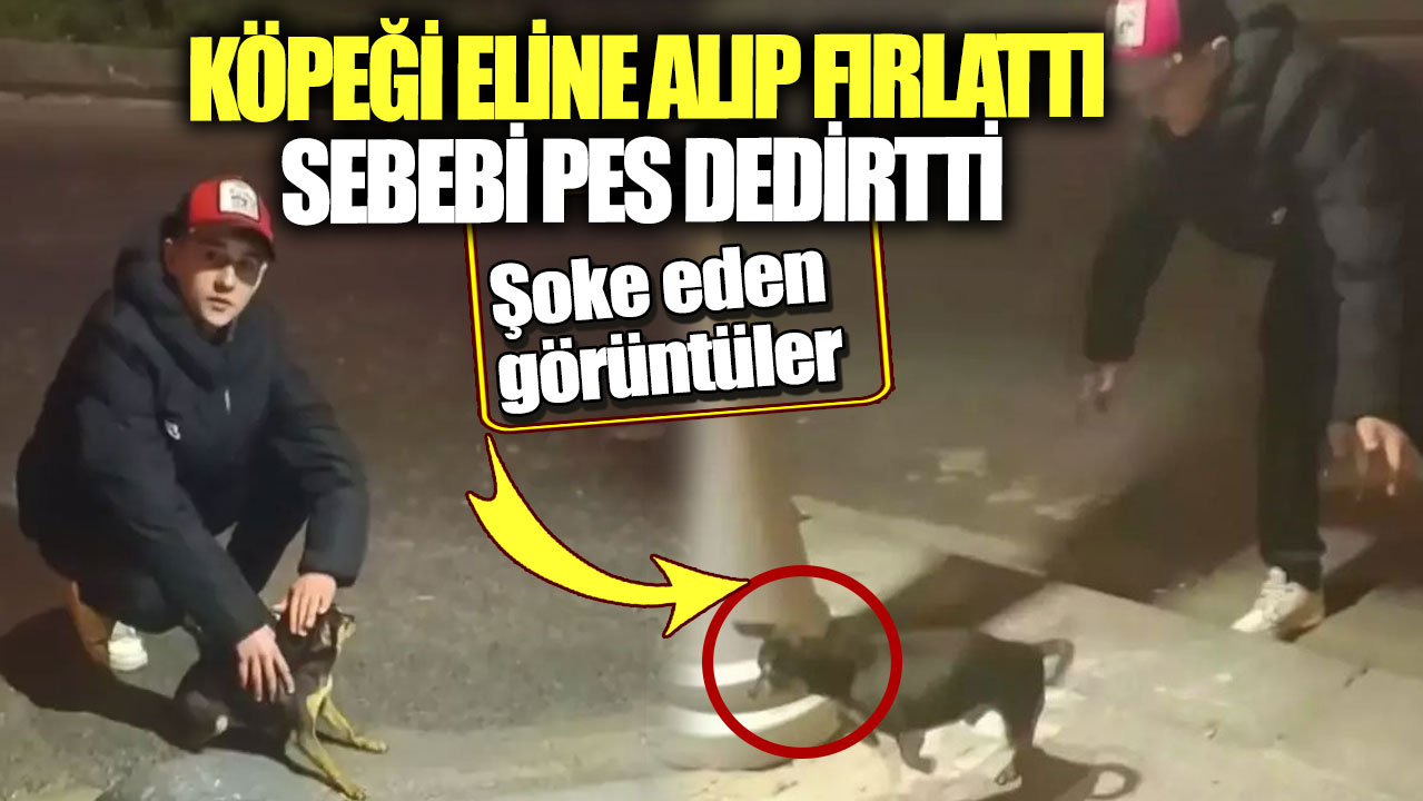 Şoke eden görüntüler! Köpeği eline alıp fırlattı sebebi pes dedirtti