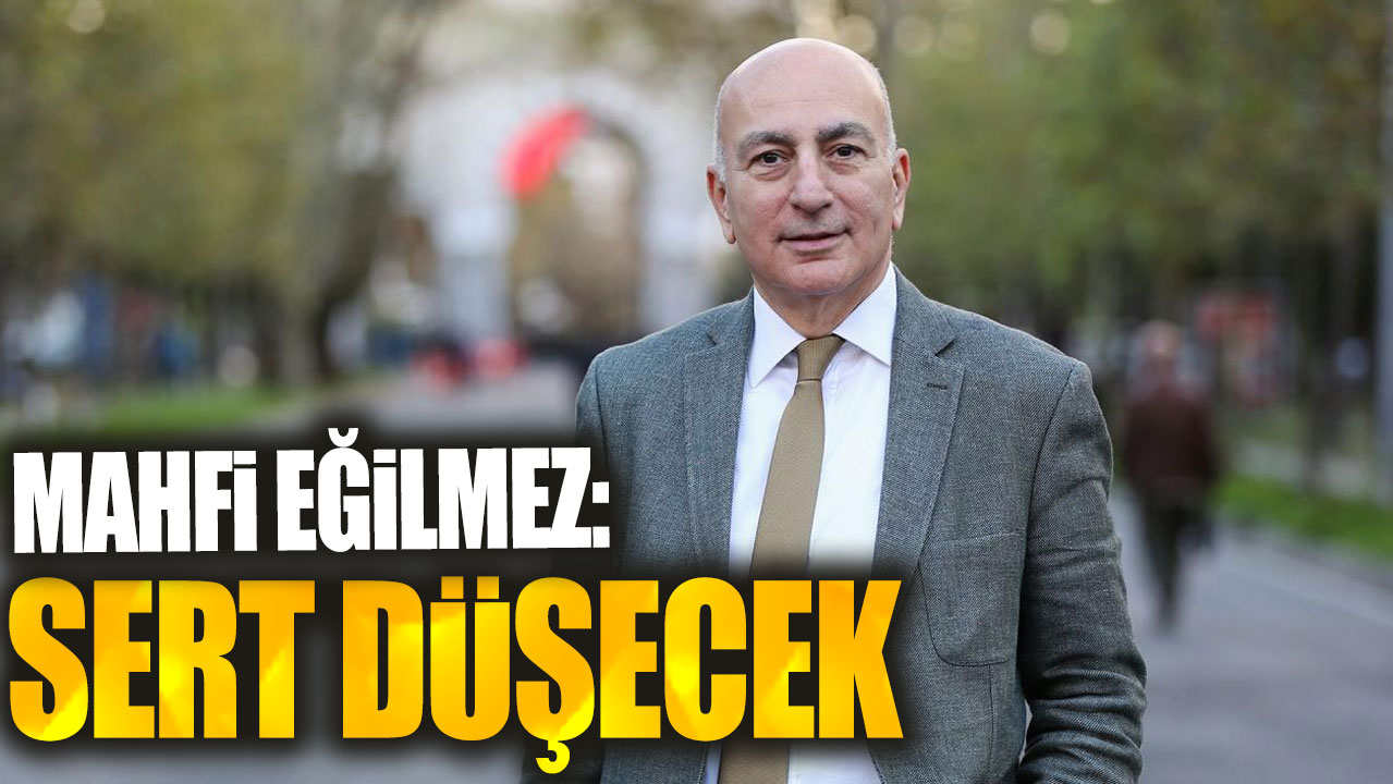 Mahfi Eğilmez: Sert düşecek