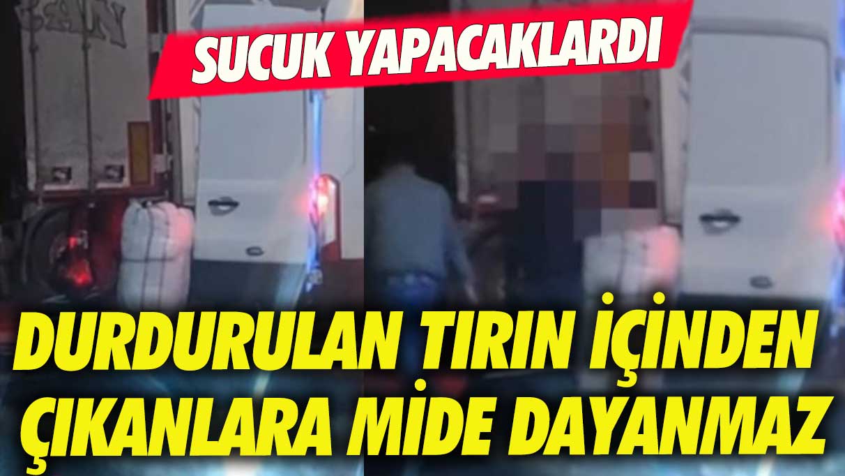 Sakarya'da durdurulan tırda 700 kilogram at ve eşek eti ele geçirildi