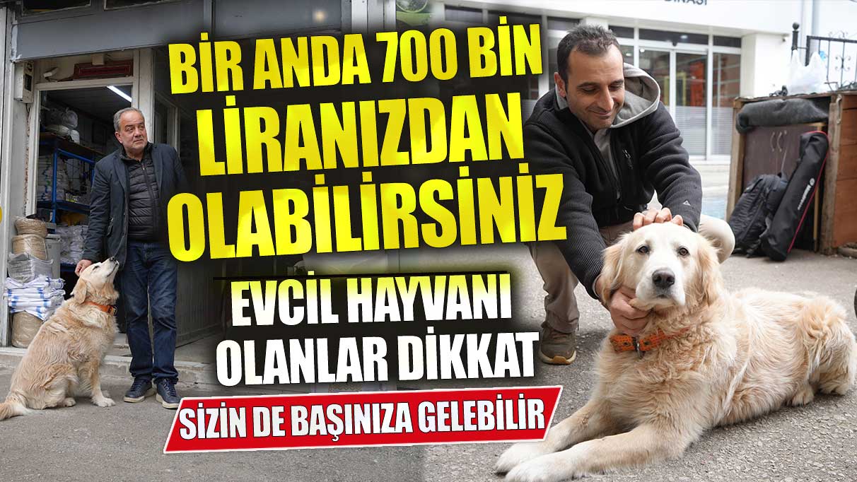 Evcil hayvanı olanlar dikkat! Bir anda 700 bin liranızdan olabilirsiniz