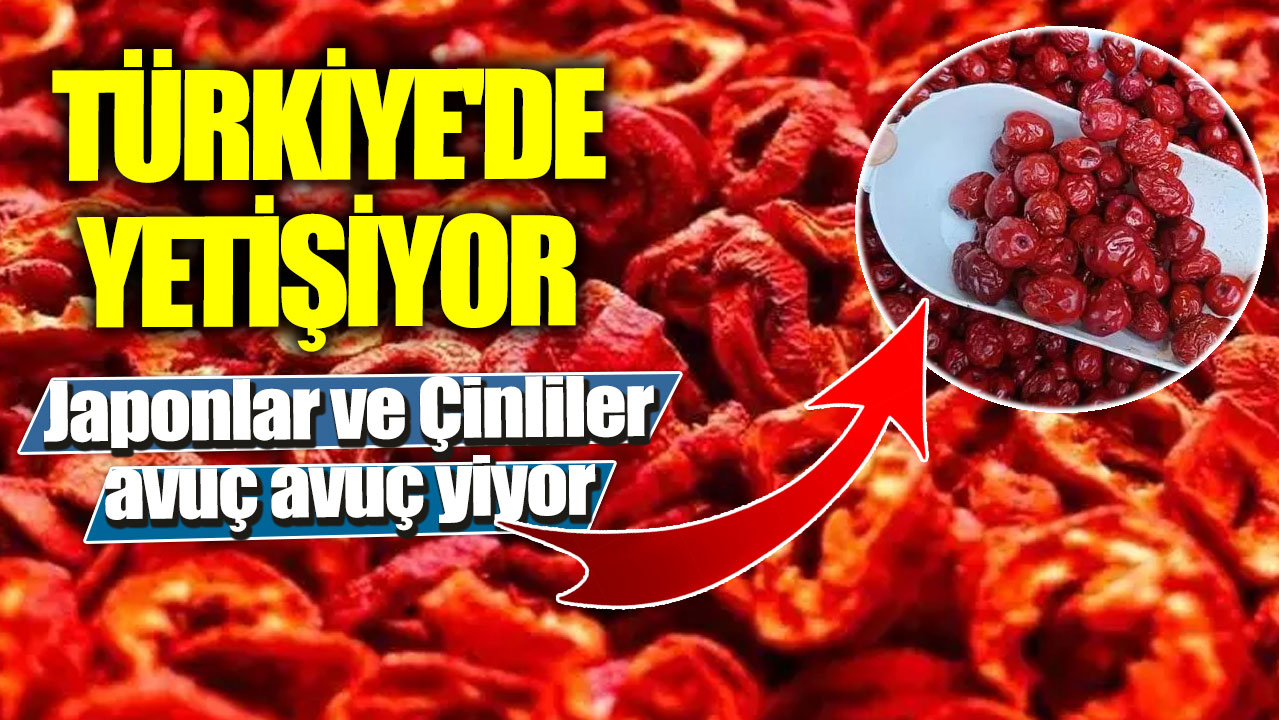 Japonlar ve Çinliler avuç avuç yiyor! Türkiye'de yetişiyor