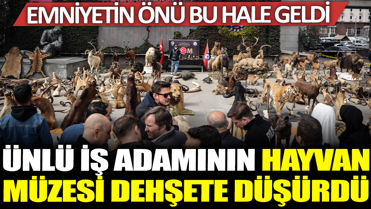 Ünlü iş adamının hayvan müzesi dehşete düşürdü: Emniyetin önü bu hale geldi