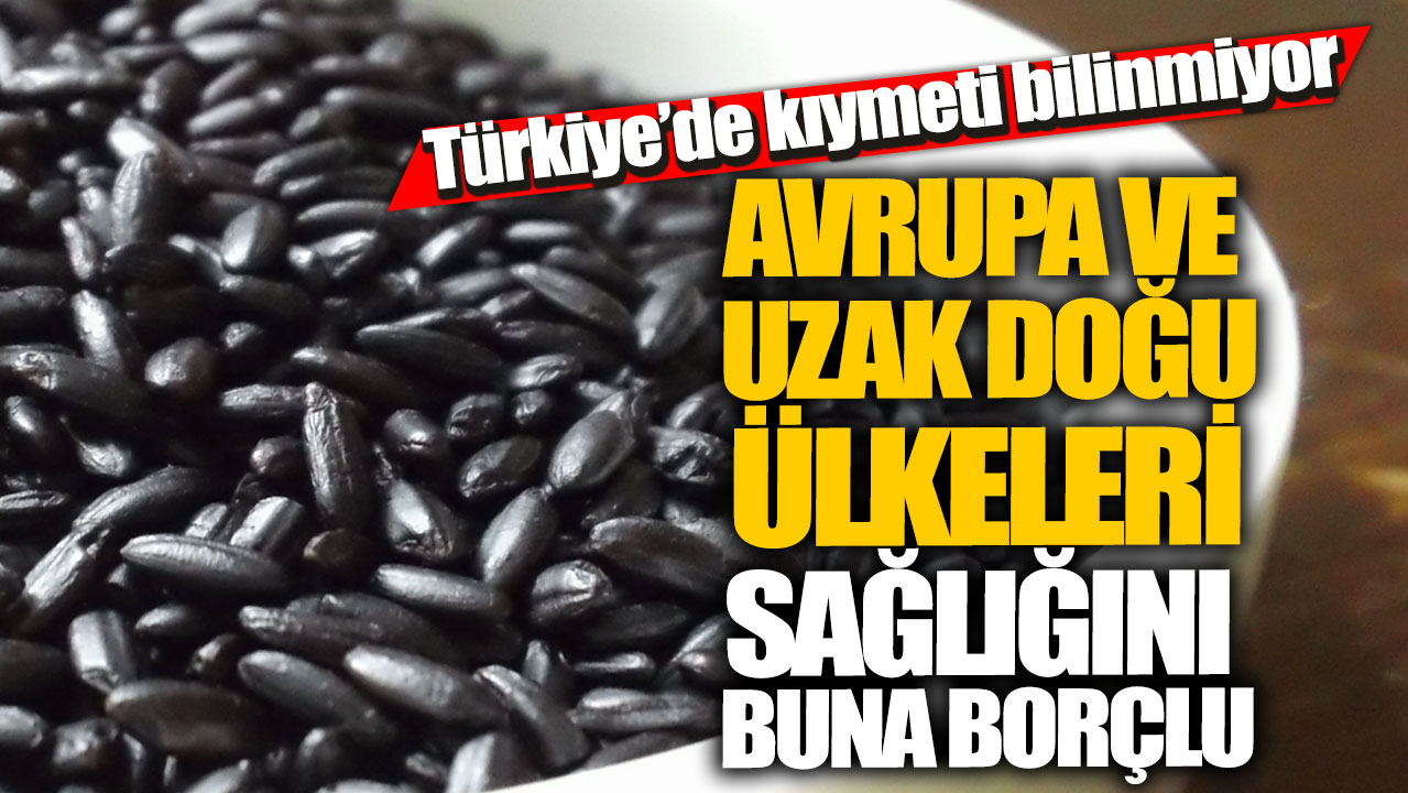 Türkiye’de kıymeti bilinmiyor!  Avrupa ve Uzak Doğu ülkeleri sağlığını buna borçlu