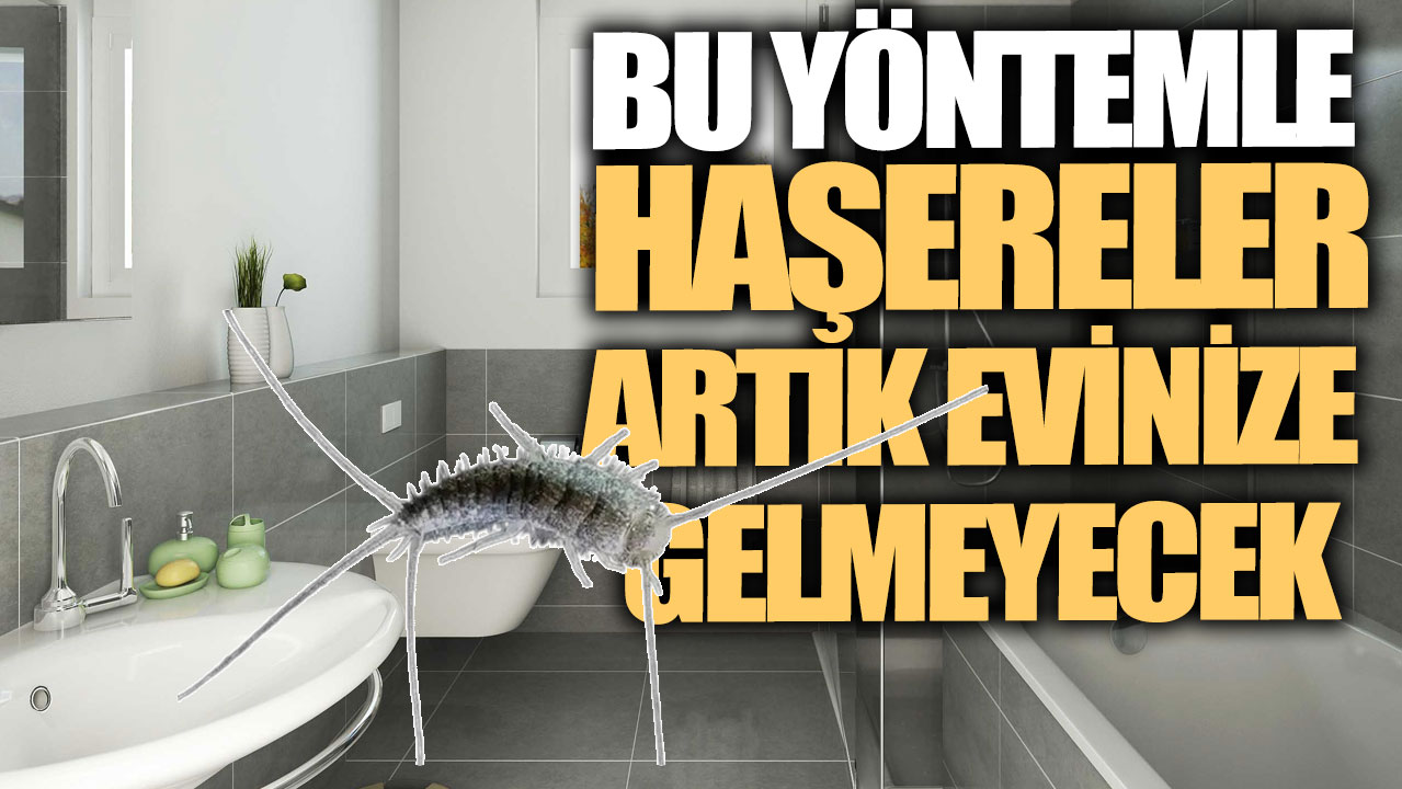 Bu yöntemle haşereler artık evinize gelmeyecek