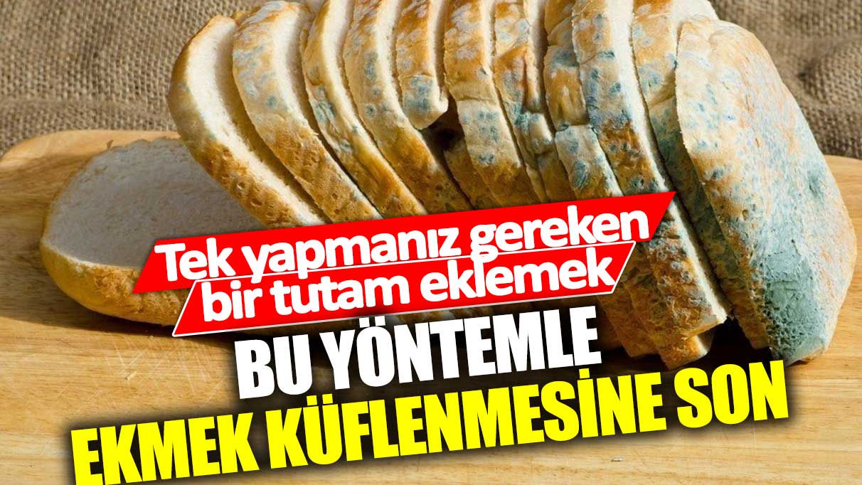 Bu yöntemle ekmek küflenmesine son! Tek yapmanız gereken bir tutam eklemek