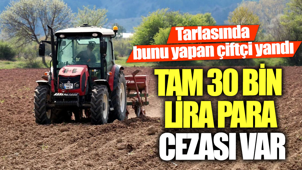 Tarlasında bunu yapan çiftçi yandı! Tam 30 bin lira para cezası var